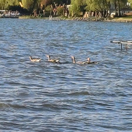 Gosciniec Twoje Mazury Nad Jeziorem Sniardwy Tuz Obok Plazy 노베 구티 외부 사진