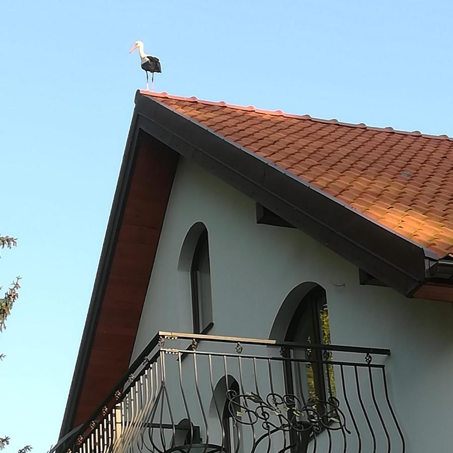 Gosciniec Twoje Mazury Nad Jeziorem Sniardwy Tuz Obok Plazy 노베 구티 외부 사진